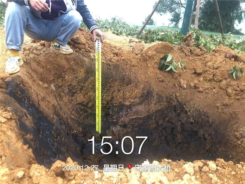 綠化樹穴